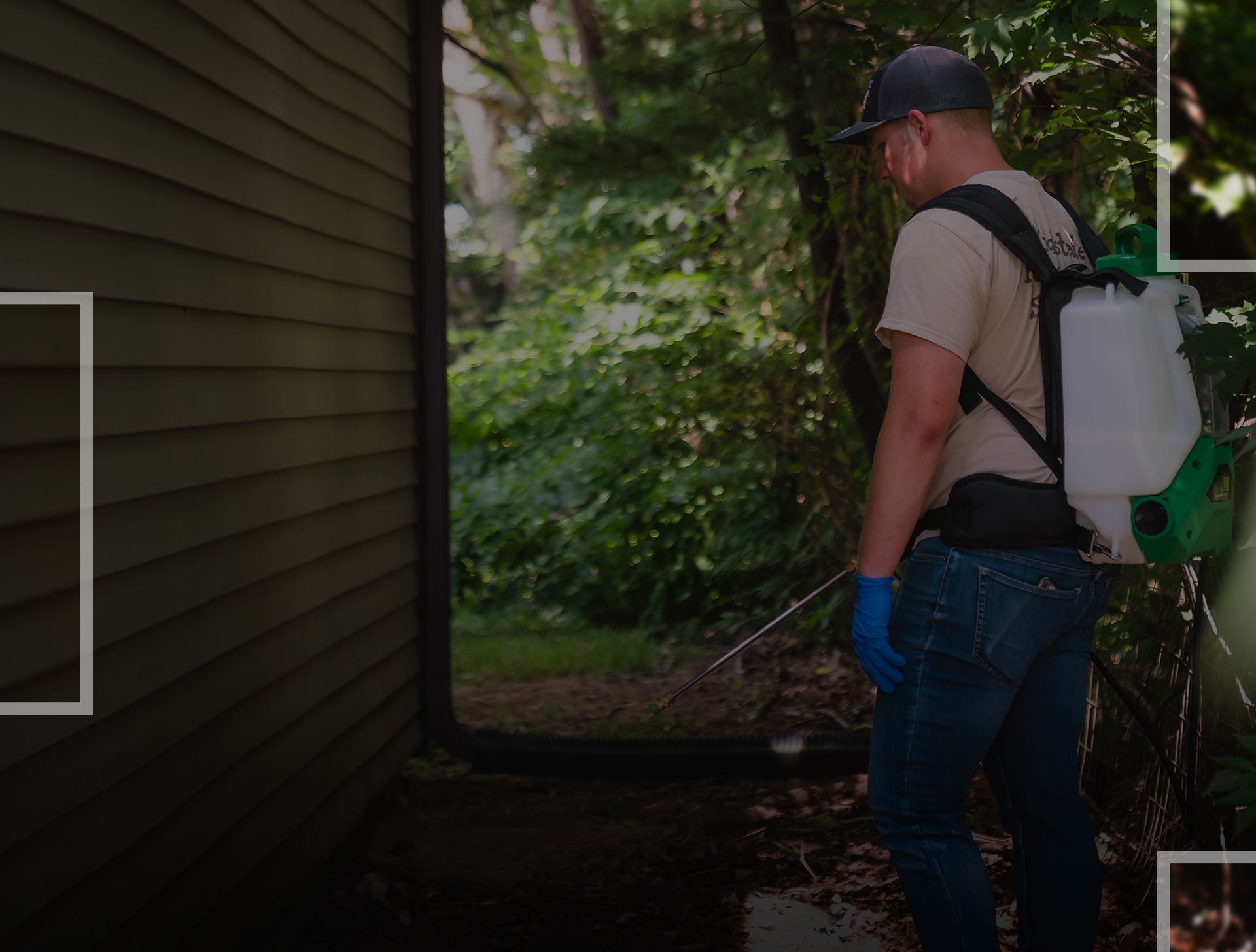 Spiders Be Gone Expert Tips For Effective Spider Control For Your